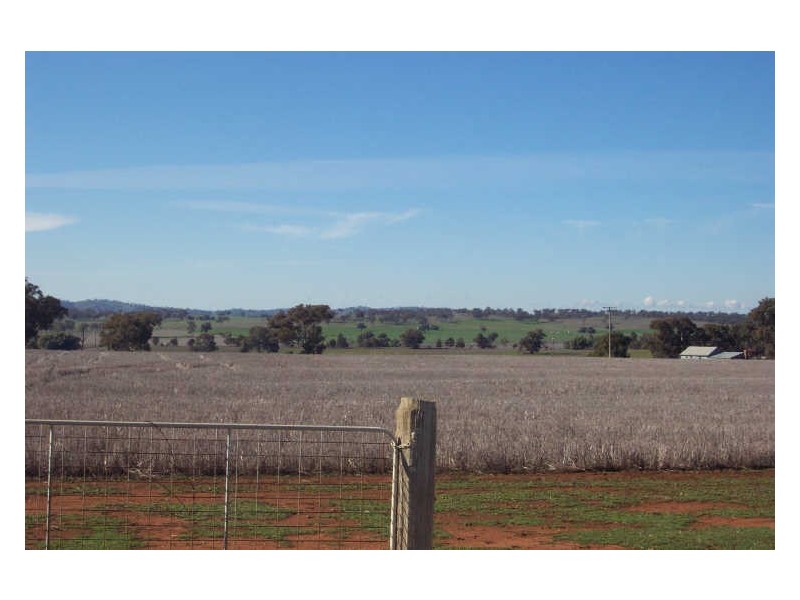 Lot 15 Twiggs Road, Maryvale NSW 2820