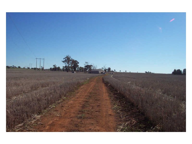 Lot 15 Twiggs Road, Maryvale NSW 2820