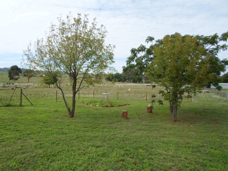 9 Spicers Creek Road, Wellington NSW 2820