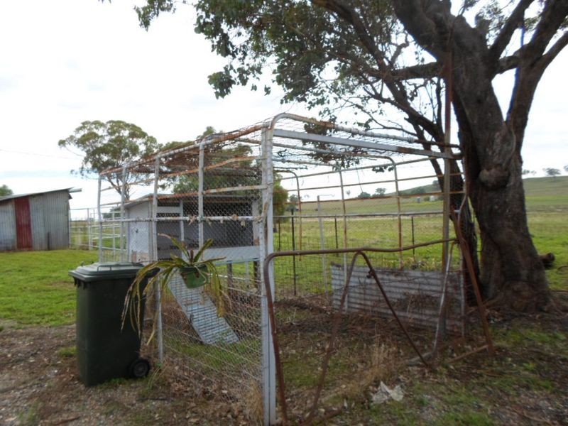 9 Spicers Creek Road, Wellington NSW 2820