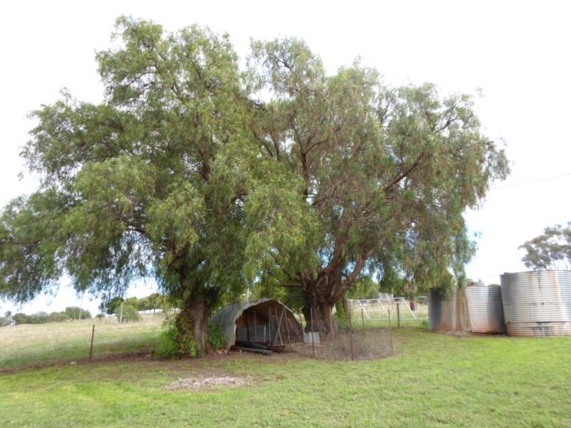 9 Spicers Creek Road, Wellington NSW 2820