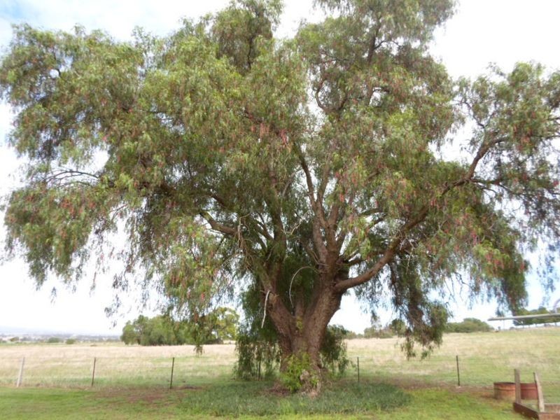 9 Spicers Creek Road, Wellington NSW 2820