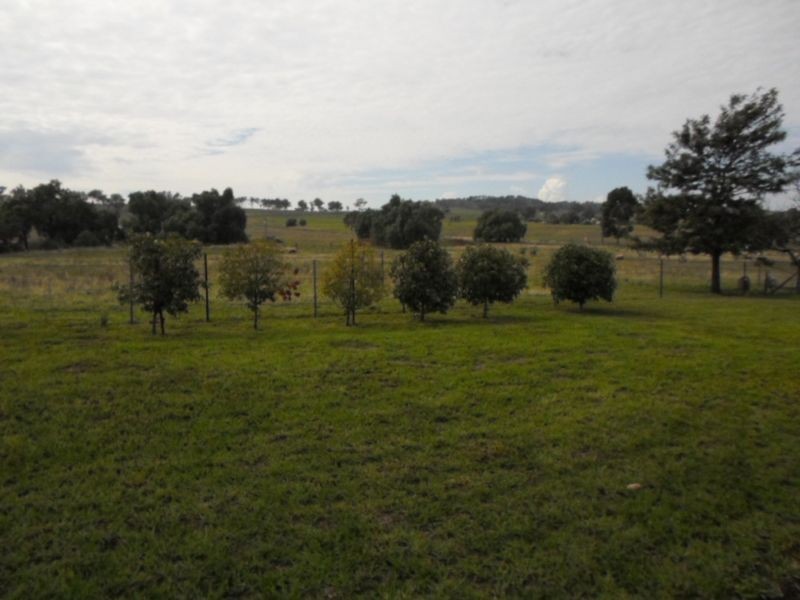 9 Spicers Creek Road, Wellington NSW 2820