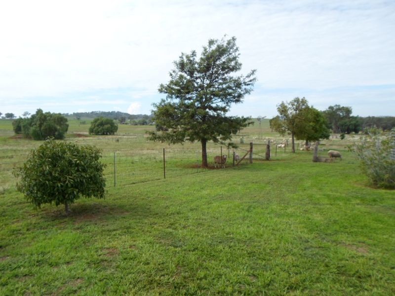 9 Spicers Creek Road, Wellington NSW 2820