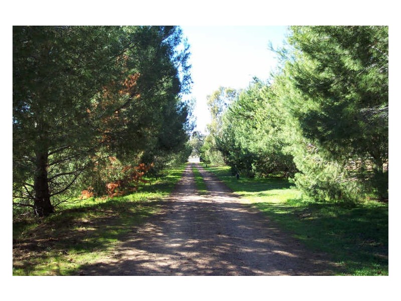 Lot 7 Gould League Place, Avoca Estate, Wellington NSW 2820
