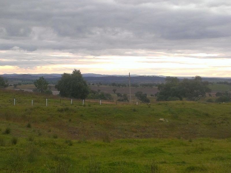 258 Dick Street, Wellington NSW 2820