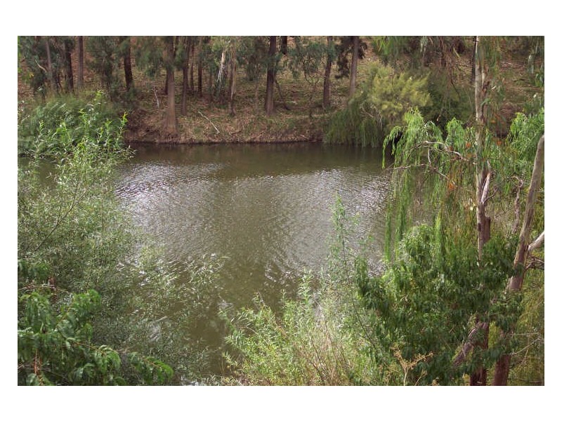 76 Gobolion Street, Wellington NSW 2820