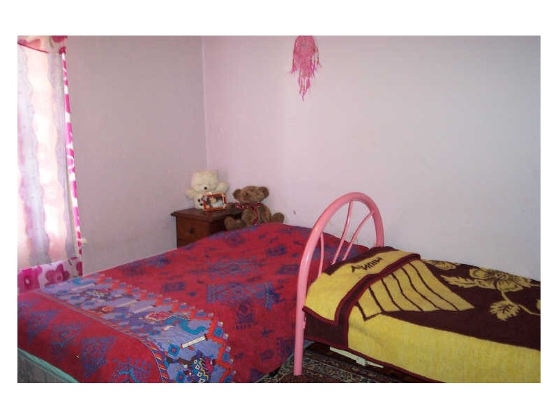 111 Simpson Street, Wellington NSW 2820
