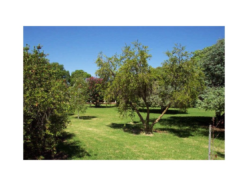 Ambleside, Showground Road, Wellington NSW 2820