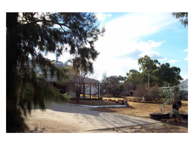 19 Belle Street, Yeoval NSW 2868