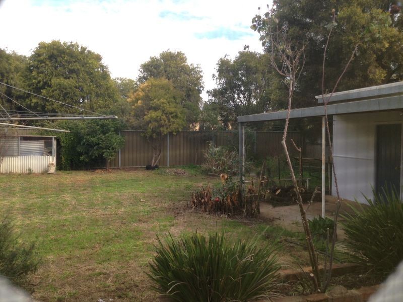 51 Clive Street, Wellington NSW 2820