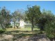 Lot 101 Mudgee Road, Spicers Creek NSW 2820