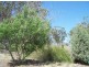 Lot 101 Mudgee Road, Spicers Creek NSW 2820