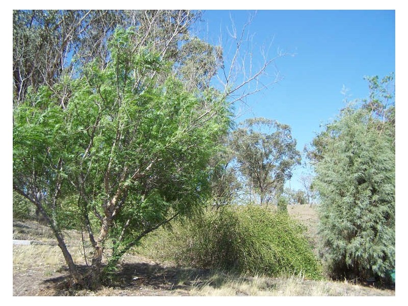 Lot 101 Mudgee Road, Spicers Creek NSW 2820