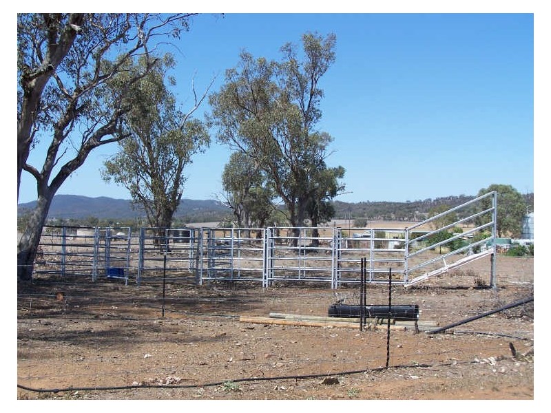 Narwee Mitchell Highway, Wellington NSW 2820