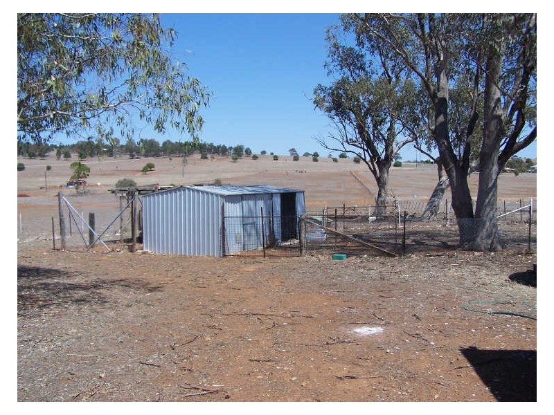 Narwee Mitchell Highway, Wellington NSW 2820