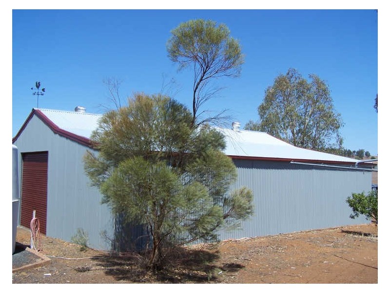 Narwee Mitchell Highway, Wellington NSW 2820