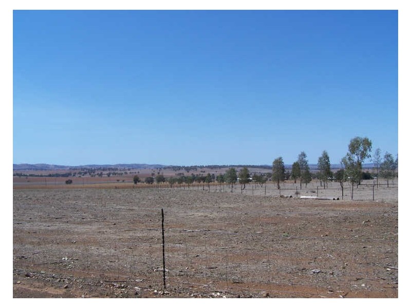 Narwee Mitchell Highway, Wellington NSW 2820