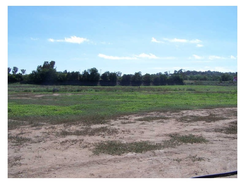 Lot 2 King Street, Wellington NSW 2820