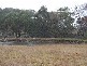 Wuuluman NSW 2820