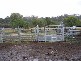 Wuuluman NSW 2820