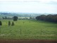 Wellington NSW 2820