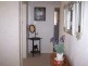 Wellington NSW 2820