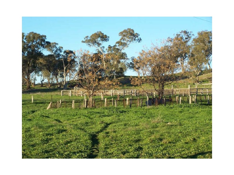 Glenmore, Mitchell Highway, Bakers Swamp, Wellington NSW 2820