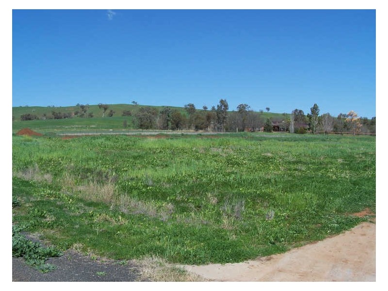 Lot 20/16 Olympic Crescent, Wellington NSW 2820