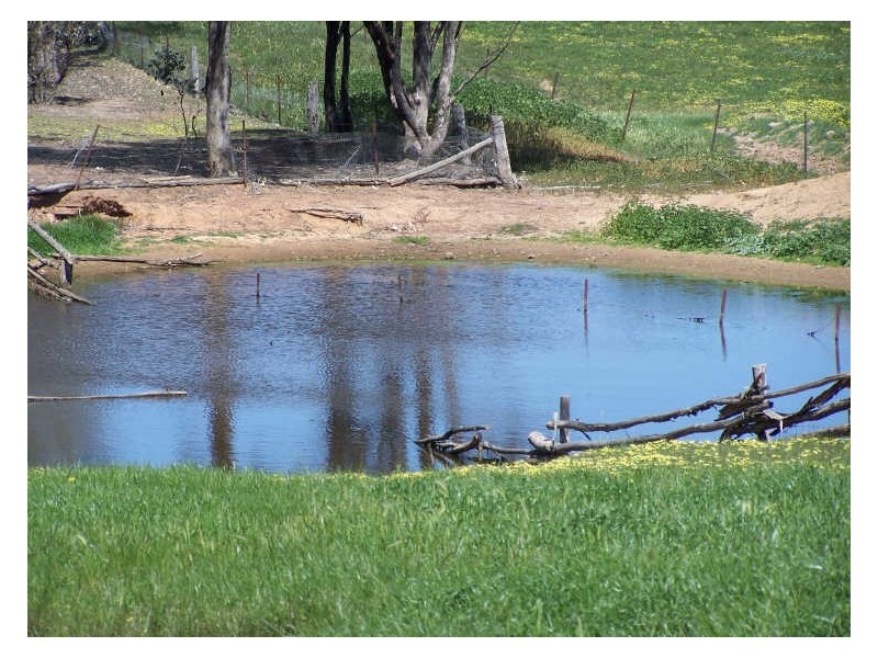 Mountain Tops, Curra Creek, Wellington NSW 2820