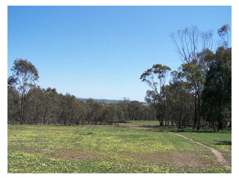 Mountain Tops, Curra Creek, Wellington NSW 2820
