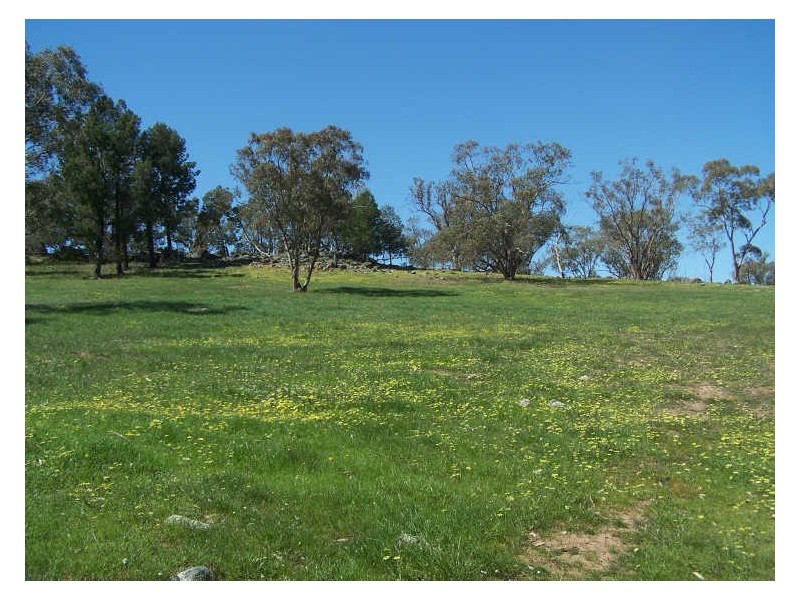 Mountain Tops, Curra Creek, Wellington NSW 2820