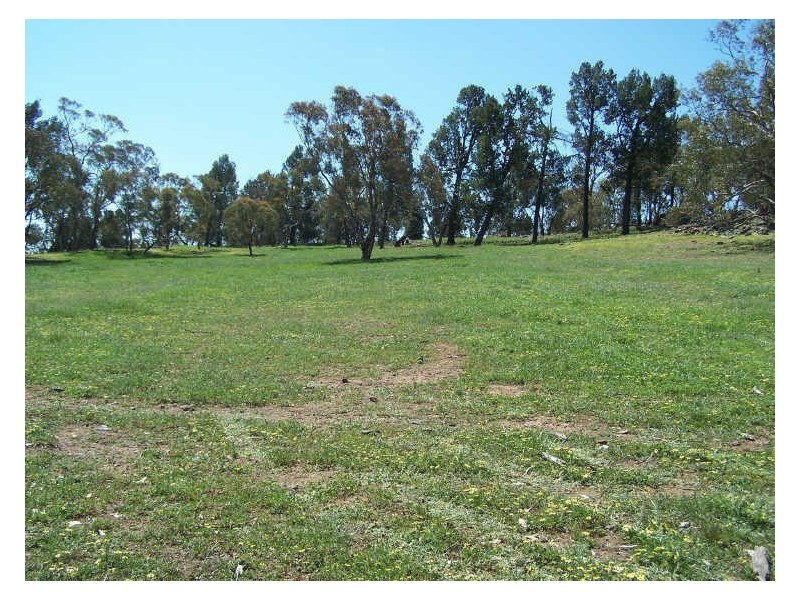 Mountain Tops, Curra Creek, Wellington NSW 2820