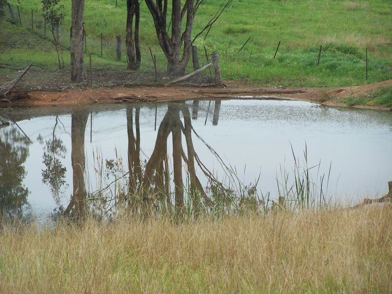 Mountain Tops, Curra Creek, Wellington NSW 2820