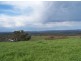 Part Kurrool, Wellington NSW 2820