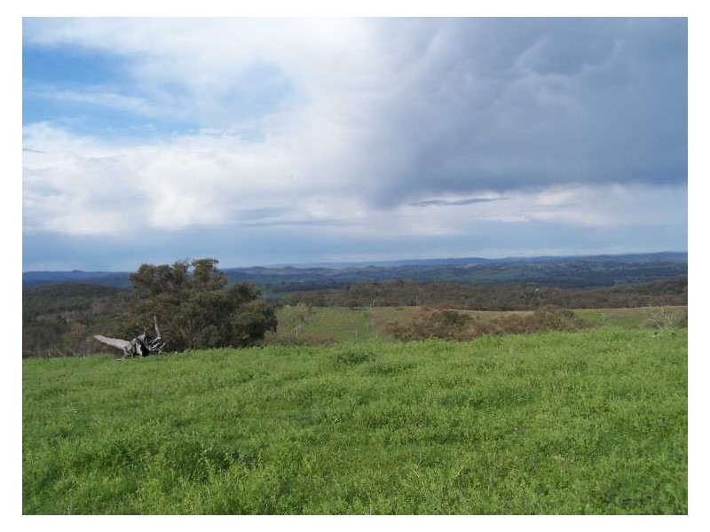 Part Kurrool, Wellington NSW 2820