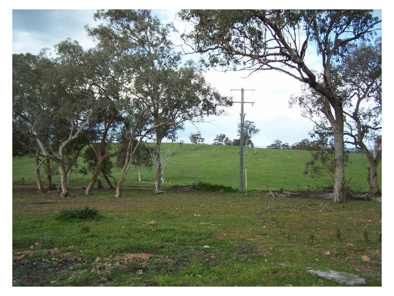 Part Kurrool, Wellington NSW 2820