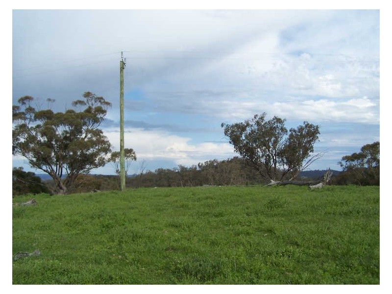 Part Kurrool, Wellington NSW 2820