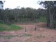 Part Kurrool, Wellington NSW 2820