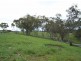 Part Kurrool, Wellington NSW 2820