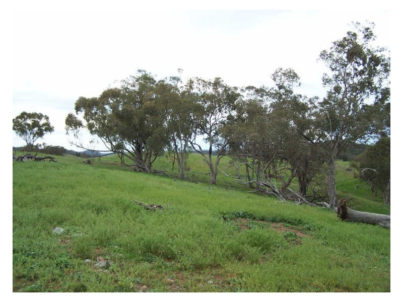 Part Kurrool, Wellington NSW 2820