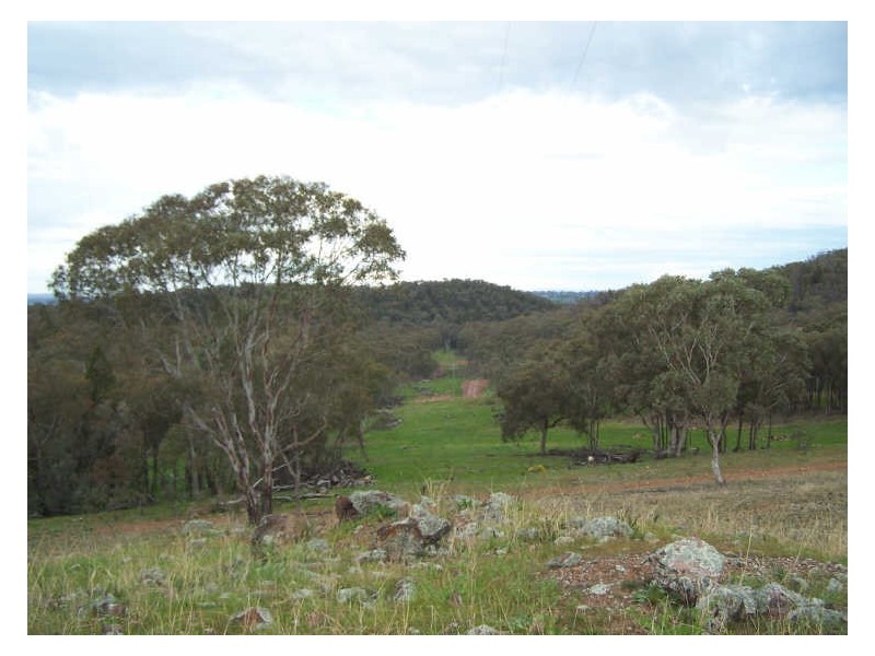 Part Kurrool, Wellington NSW 2820