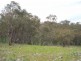 Part Kurrool, Wellington NSW 2820