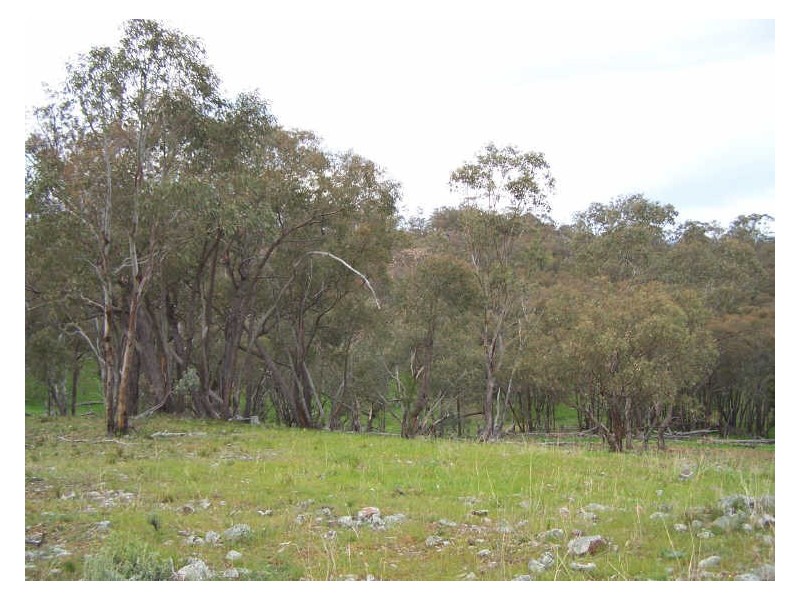 Part Kurrool, Wellington NSW 2820