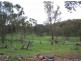 Part Kurrool, Wellington NSW 2820