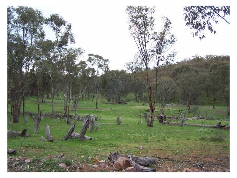 Part Kurrool, Wellington NSW 2820