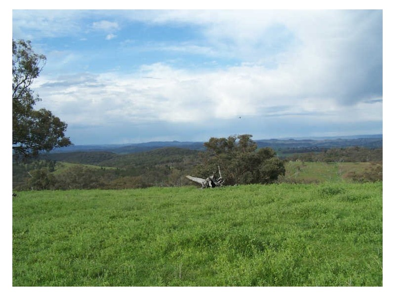 Part Kurrool, Wellington NSW 2820