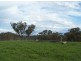 Part Kurrool, Wellington NSW 2820