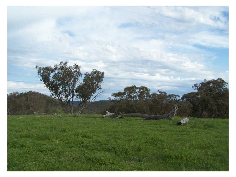 Part Kurrool, Wellington NSW 2820
