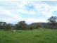 Part Kurrool, Wellington NSW 2820